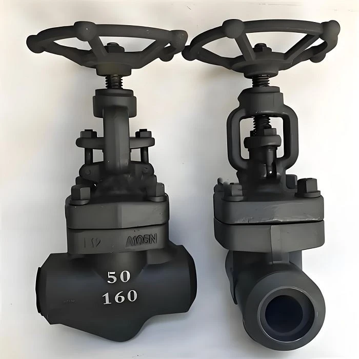 Cryogenic Globe Valve suppliers