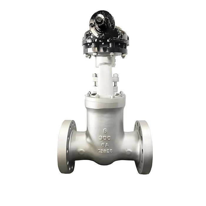 Expanding Gate Valve factory