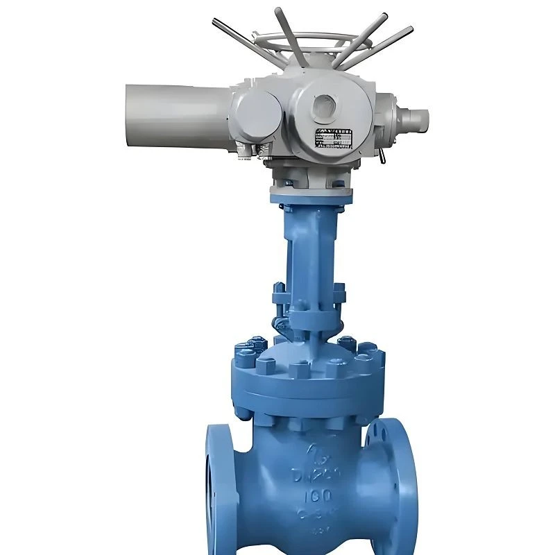 Slap Gate Valve factory